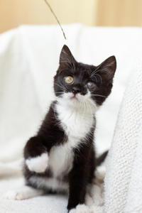 Барби Шугаевская