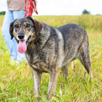 Найдуля Мамуля