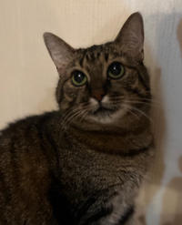 Маша Одоевская