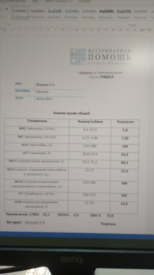 IMG-3e09f4401c290dd37ac0c9180831730c-V.jpg