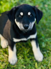 Луна Малышка