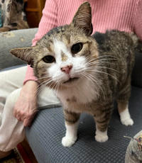 Темка Минчаков