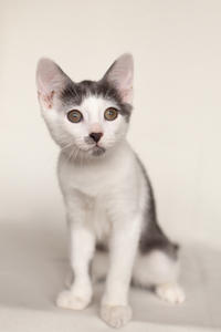 Кронос Вах - милый озорник