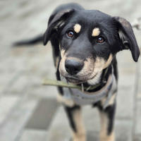 Луна Малышка