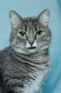 Эйна - зеленоглазая фея