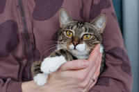 Михалина Татьяновна - кроткая малышка