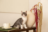 Белочка Веро - Красота! Характер! Личность!