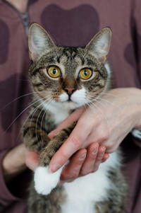 Михалина Татьяновна - кроткая малышка