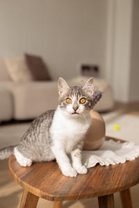 Булочка Веро - ласковая малышка