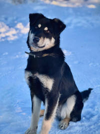 Луна Малышка