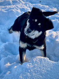 Луна Малышка