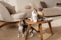 Булочка Веро - ласковая малышка