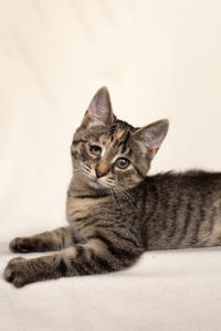 Клеопатра Вах - милая малышка с грустинкой