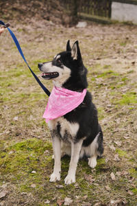 Кай Дружный