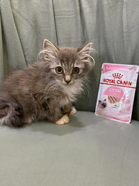 Грейсон - просто красавчик