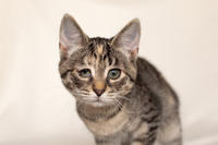 Клеопатра Вах - милая малышка с грустинкой