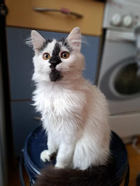 Джастин Дачный