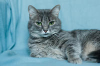 Эйна - зеленоглазая фея