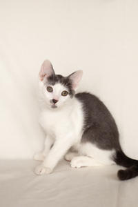 Кронос Вах - милый озорник