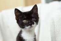 Барби Шугаевская