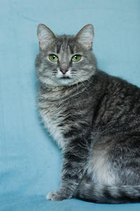 Эйна - зеленоглазая фея