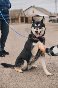 Кай Дружный