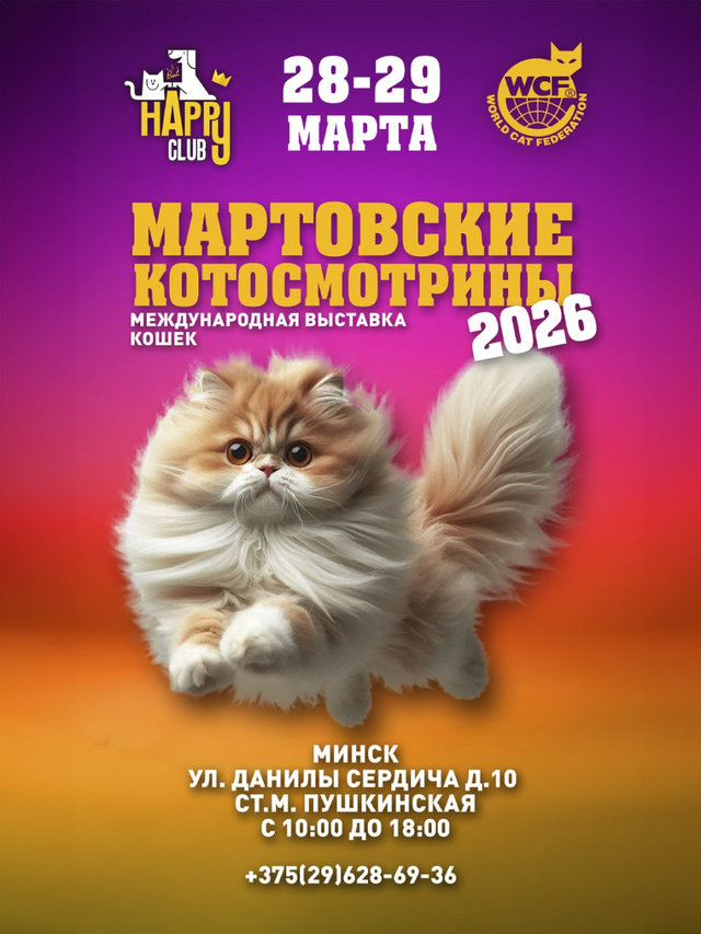 2026-03-28_4.jpg