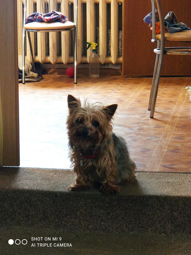 мой любимый Ричи.jpg