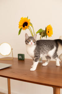 Белочка Веро - Красота! Характер! Личность!