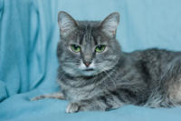 Эйна - зеленоглазая фея