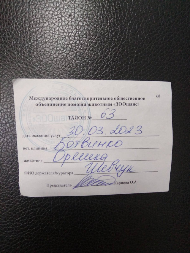 IMG-6385437d093ce70a15e1cfe124519938-V.jpg