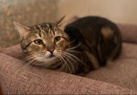 Ричард Бельский