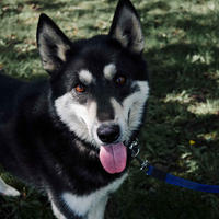     Кай Дружный