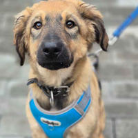     Бетти Малышка