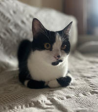 Вениамин Одоевский