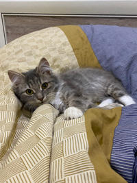 Грейсон - просто красавчик