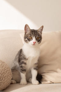 Белочка Веро - Красота! Характер! Личность!